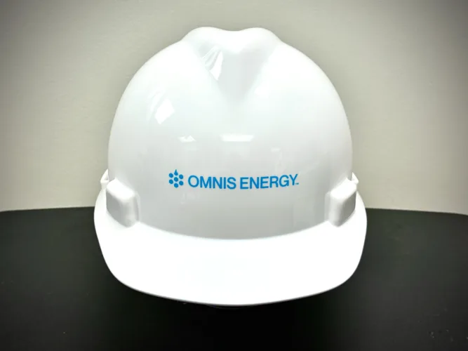 Short-term future of Pleasants Power secured while bankruptcy case continues forward